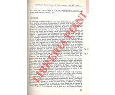 Ripostiglio dellantica Eta del Bronzo dal Lodigiano.