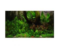 Paesaggio subacqueo amazzonico Zooplants - 52 piante
