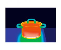 WMF 1790206040 Marmite avec Couvercle Premium One 20 cm