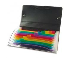 VIQUEL Trieur chèque RAINBOW 12 compartimenents en polypro 7/10, noir