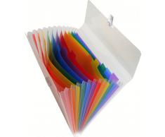 Exacompta - 55298E - Trieur Valisette - 13 Compartiments - A4 - Multicolore