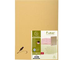 Exacompta 22209E Parapheur dos a soufflets forever - 20 compartiments