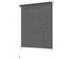 vidaXL Tenda a Rullo per Esterni 100x140 cm Antracite