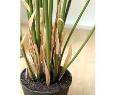 Papyrus artificiel, vert, en pot, 150 cm - Plante artificielle / Arbuste plastique - artplants