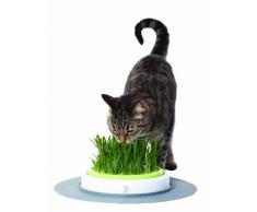 Catit Jardin dHerbe à Chat