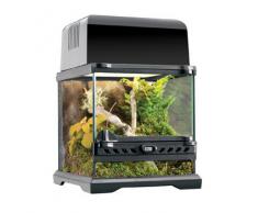 Exo terra Terrarium Naturel Nano/Wide pour Reptile/Amphibien 20 x 20 x 20 cm