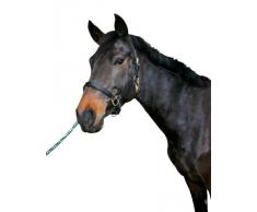 Licol cuir cheval, et 4 Cheval de selle noir