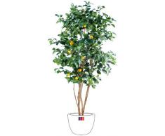 Generique - Citronnier 150Cm Arbre Fruitier Artificiel - Vert / Jaune