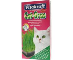 Vitakraft - 24031 - Herbe à Chat - Cat-Gras