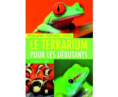Le terrarium pour les débutants