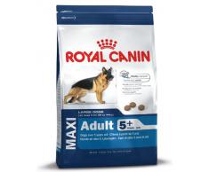 Royal Canin - Maxi Adult - Nourriture pour chien - 1 x 15 kg