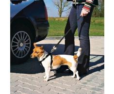 Trixie Harnais/Ceinture de Securite Voiture pour Chien - taille S (30 - 60 cm)