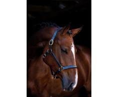 Kerbl London Licol pour Cheval de Selle