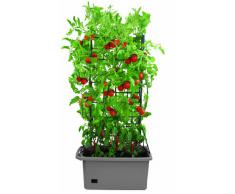 Bio Green GRBX-A Cultibac Potager Carré Anthracite 40 L 75 x 35 x 140 cm