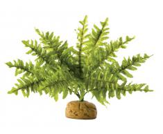 Exoterra Plante de Décoration pour Reptile Fougère de Boston S
