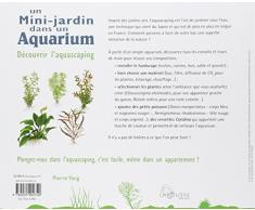 Un mini jardin dans un aquarium