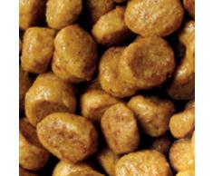 Pro Plan Derma Plus Croquettes Haut de Gamme pour Chat pour Maintenir une Peau Saine et un Magnifique Pelage Pack de 3 Kg