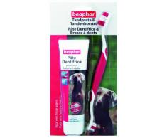 BEAPHAR - COMBI-PACK : Brosse à dents + Dentifrice haleine fraîche pour chien et chat (tube de 100 g) – Élimine la plaque dentaire – Empêche la formation de tartre – Combat la mauvaise haleine