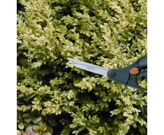 Fiskars Sécateur pour buisson Longueur 26 cm