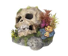 Nobby Aqua Ornaments Décoration pour aquarium en forme de crne 13,5 x 13,5 x 10,5 cm