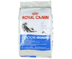 Royal Canin - Croquettes pour chat à poils longs - Intérieur - 10 kg