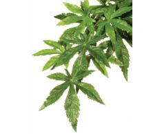 Exoterra Décoration Ficus Plante Moyen Modèle pour Reptiles et Amphibiens