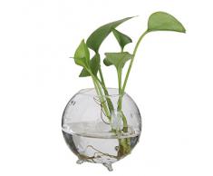 Vase Boule en Verre Transparent pour Plante Fleur Hydroponique DIY Paysage Miniature