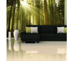 murando – Papier peint intissé 350x270 cm - Papier peint - Trompe l oeil - Tableaux muraux - déco – XXL nature 100403-1