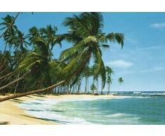 Poster 220 mural géant 366 x 254 cm Plage et cocotier en 8 parties grandes dimensions