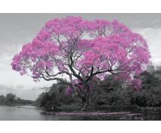 GB Eye Ltd, Tree, Blossom, Maxi Poster
