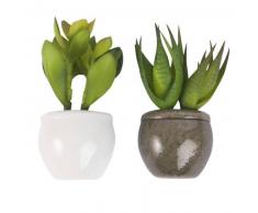 Maisons du monde 2 magneti piante grasse artificiali