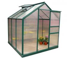 Caesaroo SERRA GIARDINO POLICARBONATO ALLUMINIO VERDE CON 1 FINESTRA 190 X 192 X 201 ESTERNO FLORA M