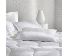 La Redoute - GUANCIALE COMFORT CHIUSO TRATTATO ANTI-INSETTI