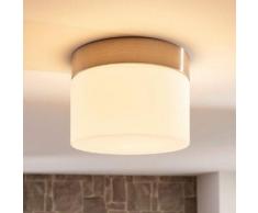 Plafoniera LED per bagno Miguel compatta
