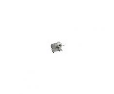 Affettatrice Professionale - ?Potenza 160 W - Lama Ø 250 - Dimensioni: 540x390x380 mm - Taglio utile 160x210 mm - Modello 250AFF