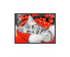 Zerbino Susi (Rosso) - bpc living