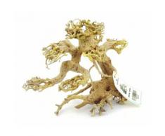 NatureLine Decor Bonsai Wood Misura S 15-20cm cod.BW16