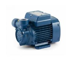 ELETTROPOMPA PERIFERICA PQM 65 HP 0,70 VOLT 220 PEDROLLO