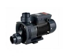 Elettropompa HP 0,5 Monofase Idromassaggio SPA Piscina 370 W Pompa BTP-370