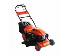 Tosaerba A Benzina Bruco Maxi 3in1 Potenza Hp.5,5/4t Taglio Max. Diam.53 Cm.