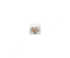 driade Shamadan candelabro, Driade