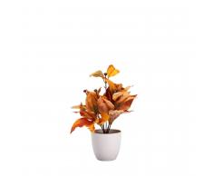 SuperStudio Pianta Decorativa ORANGE Multicolor