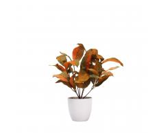 SuperStudio Pianta Decorativa CALURO Multicolor