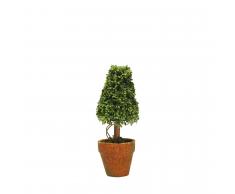 SuperStudio Pianta Decorativa CONE Multicolor