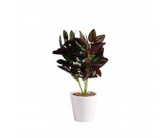 SuperStudio Pianta decorativa di plastica con vaso PASSION Multicolor