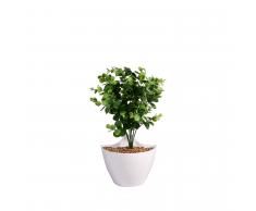 SuperStudio Pianta decorativa di plastica con vaso BUSTY -Da appendere- Multicolor