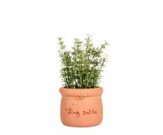 SuperStudio Pianta Decorativa con Vaso BOUQUET Bianco