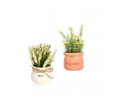 SuperStudio 1 Pianta Decorativa con Vaso FLOWERS + 1 Pianta Decorativa con Vaso BOUQUET