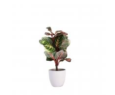 SuperStudio Pianta Decorativa BUNDAN Multicolor