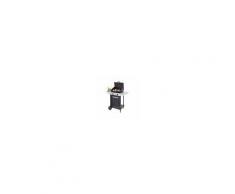 Campingaz Barbecue Gas Xpert 100 L Rocky